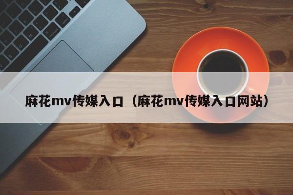 麻花mv传媒入口（麻花mv传媒入口网站）