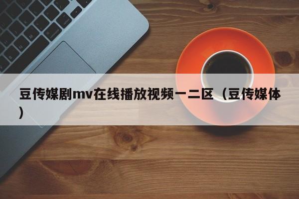 豆传媒剧mv在线播放视频一二区（豆传媒体）