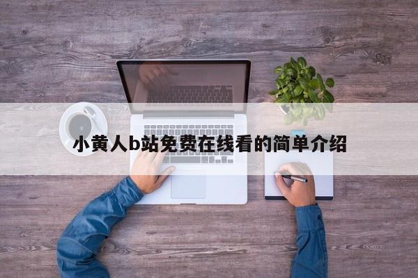 小黄人b站免费在线看的简单介绍