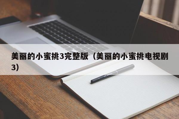 美丽的小蜜挑3完整版（美丽的小蜜挑电视剧3）